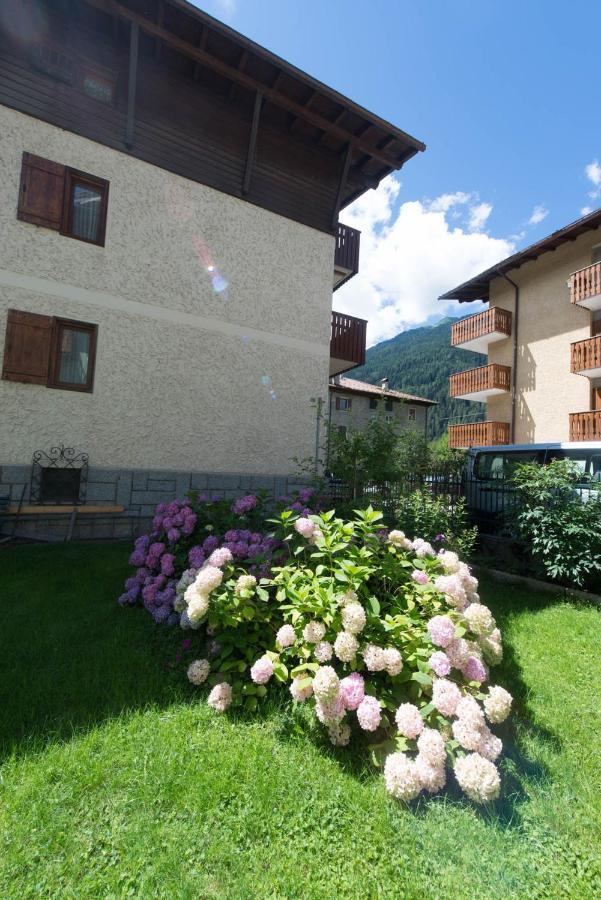 Residence Alpen Casavacanze Пинцоло Экстерьер фото